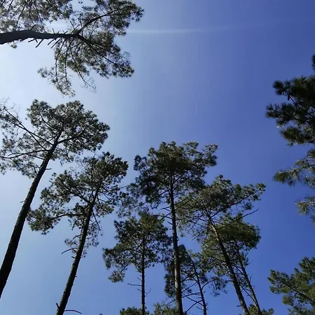 Prázdninový dům Le Clemens